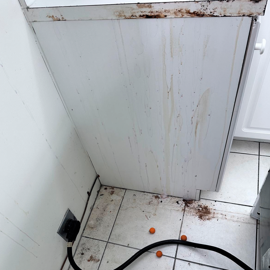 Heavily soiled washing machine before deep cleaning service